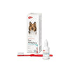 Holliday Clorhexidina Gel Antiplaca Para Perros y Gatos 20ml