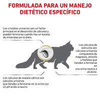 Royal Canin Alimento Gatos Urinary Feline Disolucion Prevencion Calculos Estruvita
