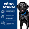 Hills Science Diet Alimento Perros d/d Sensibilidad Alimentaria y de Piel Sabor Salmon