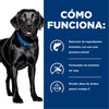 Hills Science Diet Alimento Perros d/d Sensibilidad Alimentaria y de Piel Sabor Salmon