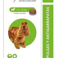 Bravecto Tab Masticable Antiparasitaria Canina 10-20 Kg