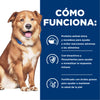 Hills Science Diet Alimento Perros Derm Complete Alergias Ambientales Croquetas