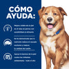 Hills Science Diet Alimento Perros Derm Complete Alergias Ambientales Croquetas