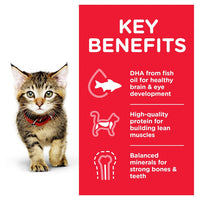 Hill's Science Diet Kitten, alimento saludable húmedo en Sobre para gatito, platillo de pollo 79g Caja con 24 piezas