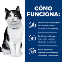 Hills Science Diet Alimento Gatos i/d Lata 156 gr Enfermedad Gastrointestinal