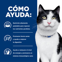 Hills Science Diet Alimento Gatos i/d Lata 156 gr Enfermedad Gastrointestinal