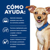 Hills Science Diet Alimento Perros i/d Small Bites Raza Pequeña Enfermedad Gastrointestinal id