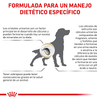 Royal Canin Alimento Perros Urinary Moderate Calories Disolución Cálculos Estruvita