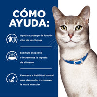 Hills Science Diet Alimento Gatos k/d Lata 156 gr Enfermedad Renal Humedo kd