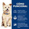 Hills Science Diet Alimento Perros k/d Enfermedad Renal Croquetas kd