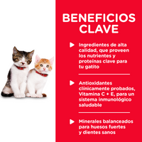 Hills Science Diet Lata Kitten Original Healhty Cuisine Estofado 79 Gr