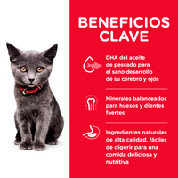 Hills Science Diet Alimento Gatos Kitten Indoor Feline Croquetas Pienso