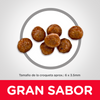 Hills Science Diet Alimento Gatos Kitten Indoor Feline Croquetas Pienso