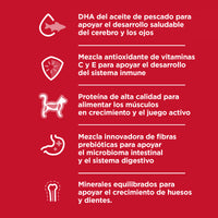 Hills Science Diet Kitten Alimento Gatos cachorros Original Croqueta Gatitos