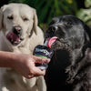 Yow Up! Yogurt Skin And Hair Perro 115 Gr