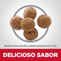Hills Science Diet Perfect Digestion Alimento Seco de Cuidado Digestivo para Gato Adulto