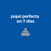 Hills Science Diet Perfect Digestion Alimento Seco de Cuidado Digestivo para Gato Adulto