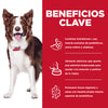 Hills Science Diet Adult Perfect Digestion Alimento de Cuidado Digestivo para Perro Adulto