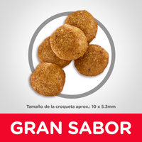 Hills Science Diet Perfect Weight Alimento Gato Control de Peso Croquetas