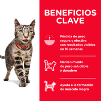 Hills Science Diet Perfect Weight Alimento Gato Control de Peso Croquetas