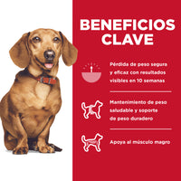 Hill's Science Diet Small & Mini Perfect Weight Alimento Control de Peso Perro Adulto Raza Pequeña 5.7Kg