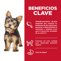 Hills Science Diet Alimento Perros Puppy Small & Mini Croqueta Cachorro Raza pequeña y Mini