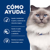 Hills Science Diet Alimento Gatos r/d 3.9 kg Sobrepeso Diabetes Croqueta Pienso