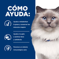 Hills Science Diet Alimento Gatos r/d 3.9 kg Sobrepeso Diabetes Croqueta Pienso