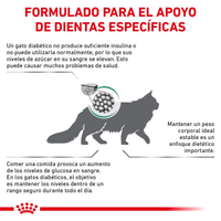 Royal Canin Alimento Gatos Glycobalance Feline Diabetes Mellitus  2 kg