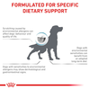 Royal Canin Alimento Perros Skintopic Adulto Dermatitis Sensibilidad 8 kg