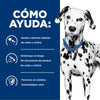 Hills Science Diet Alimento Perros u/d Urolitiasis Enfermedad Renal Etapa Final