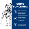 Hills Science Diet Alimento Perros u/d Urolitiasis Enfermedad Renal Etapa Final