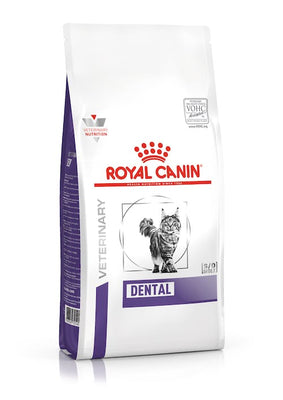 Royal Canin Alimento Gatos Cuidado Dental Health Nutrition Feline Dental Dry Cat Food
