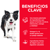 Hill's Science Diet Senior Vitality, Alimento Saludable para Perro Senior sabor Pollo