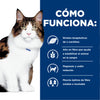 Hills Science Diet Alimento Gatos w/d 3.9 kg Prevención Obesidad Croquetas Pienso