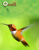 Ocell Alimento Aves Nectar Colibri Balanceado 1.5 lt