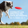 Hill's Science Diet Small & Mini Senior Vitality Alimento para Perro Senior Razas Pequeñas y Mini