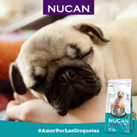 Nucan Alimento Perros Cachorro Croqueta Pienso