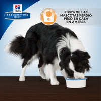 Hills Science Diet Alimento Perros h/d Enfermedad Cardiaca Croqueta Pienso HD