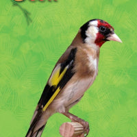 Ocell Alimento Aves Pasta Natural Cria Postura Mantenimiento