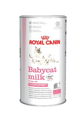 Royal Canin Alimento Gatos Babycat Milk  Leche Gatitos 300 gr