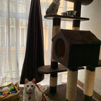 MyA Mueble Árbol Rascador para Gatos con Casa y Cama, Torre Grande 123 cm