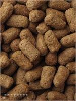 Mazuri Alimento Acuatico Aquatic Turtle Diet Tortugas Acuaticas 450g