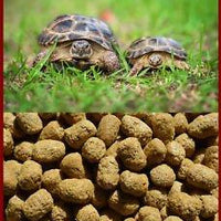 Mazuri Alimento Terrestre Tortoise Diet Tortugas Terrestres Sulcata 500g