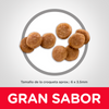 Hills Science Diet Kitten Alimento Gatos cachorros Original Croqueta Gatitos