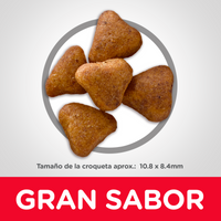 Hills Science Diet Alimento Gatos Adult 7+ indoor Croquetas Pienso