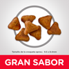 Hills Science Diet Alimento Gatos Adulto Indoor Alimento Seco Croquetas