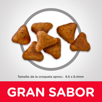 Hills Science Diet Alimento Gatos Adulto Indoor Alimento Seco Croquetas