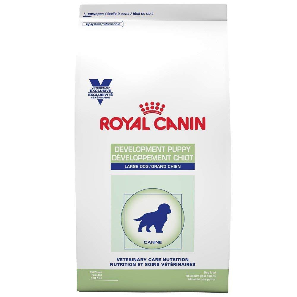 Royal Canin Alimento Perros Development Puppy Large Dog Cachorro Raza Grande Pienso Croqueta