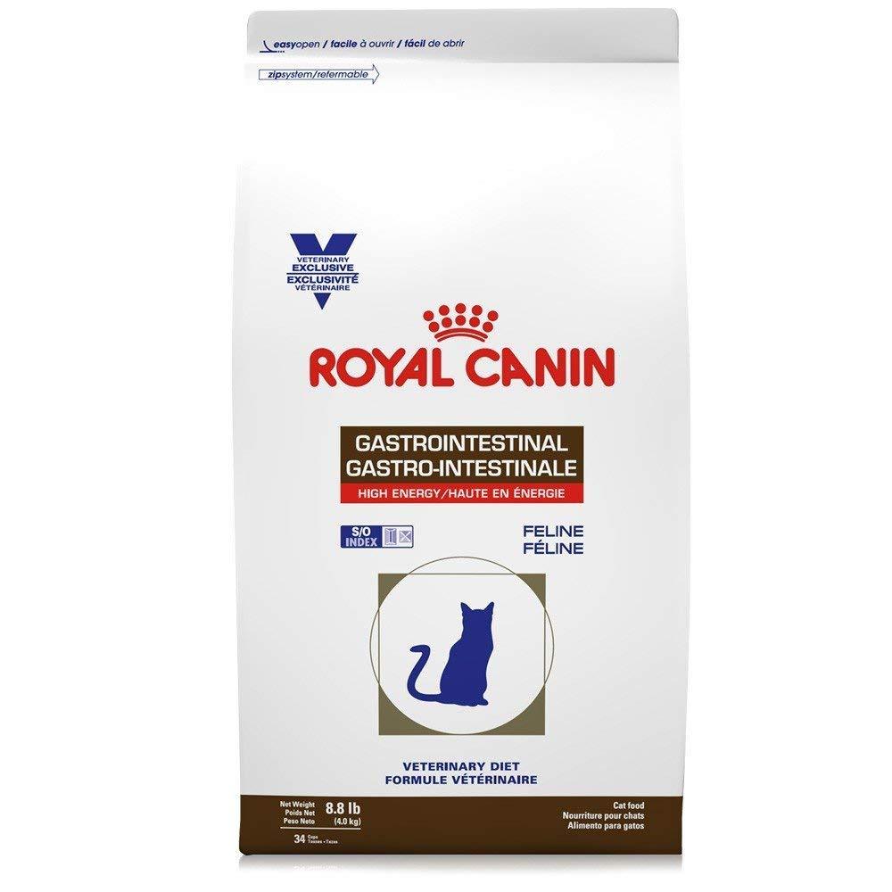 Royal Canin Alimento Gatos Gastrointestinal High Energy Feline 4 kg Diarrea Infeccion Intestinal